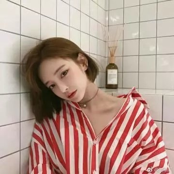 房车奇遇