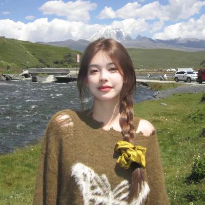 小淘气尼古拉的假期